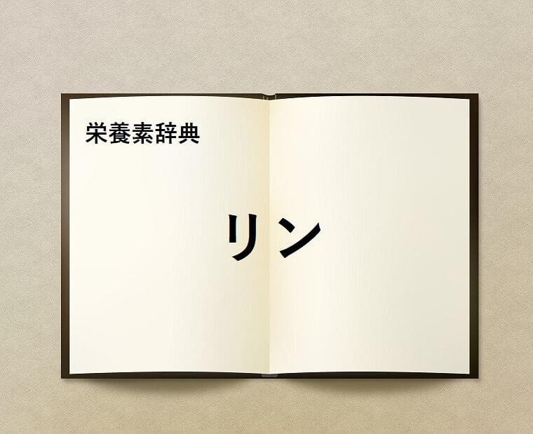 栄養素辞典㉒「リン」とは?