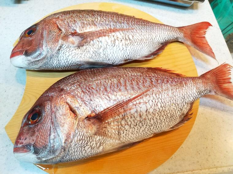 おいしい食材再発見!~愛媛編~「真鯛」
