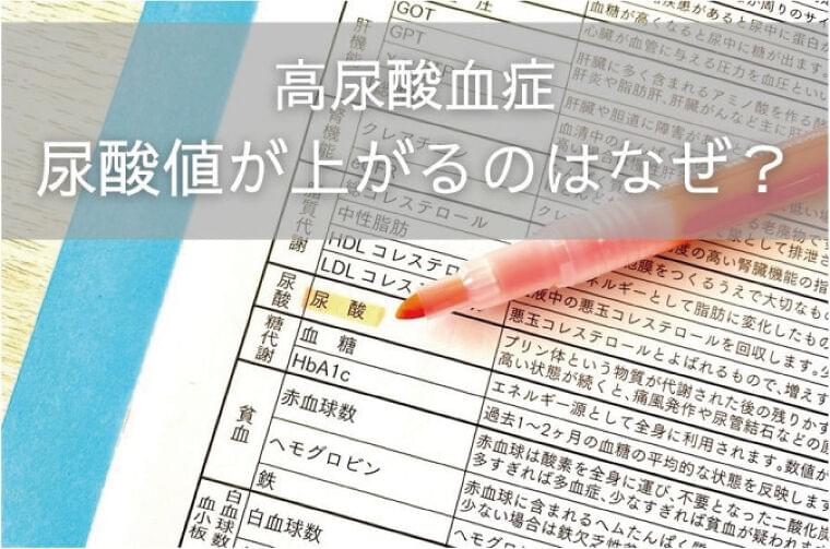 尿酸値が上がるのはなぜ?~高尿酸血症とは?②~