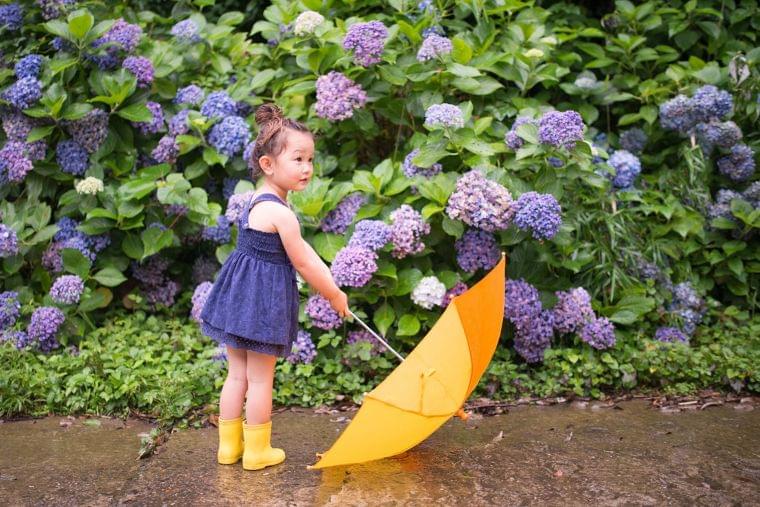 季節の薬膳を組み立てる(梅雨の特徴と薬膳)