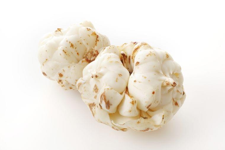 「ゆりね」の栄養素や歴史【管理栄養士監修】12月の旬の野菜の栄養学