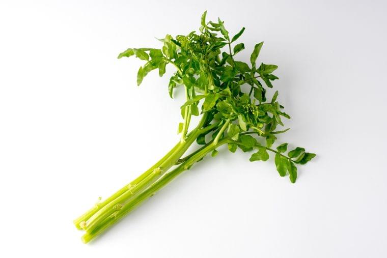 クレソン の栄養素や歴史 管理栄養士監修 3月の旬の野菜の栄養学 コラム Eatreat