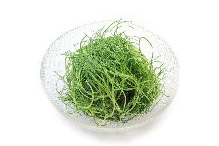 おかひじき の栄養素や歴史 管理栄養士監修 4月の旬の野菜の栄養学 コラム Eatreat おかひじき の栄養素や歴史 管理栄養士監修 4月の旬の野菜の栄養学 コラム Eatreat