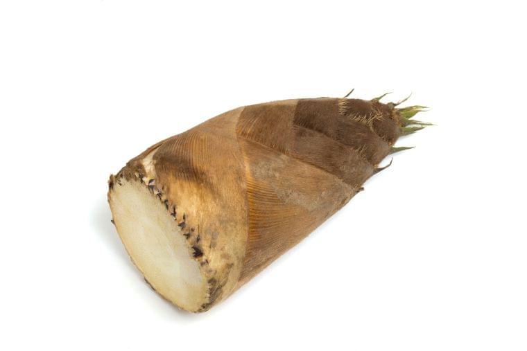 「たけのこ」の栄養素や歴史【管理栄養士監修】4月の旬の野菜の栄養学