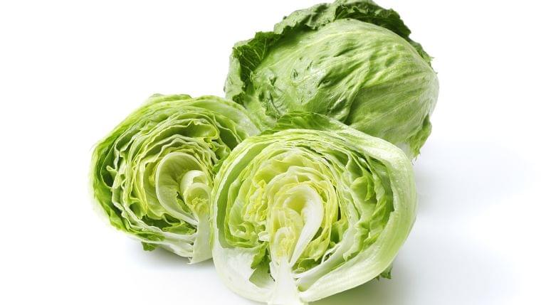 「レタス」の栄養素や歴史【管理栄養士監修】7月の旬の野菜の栄養学