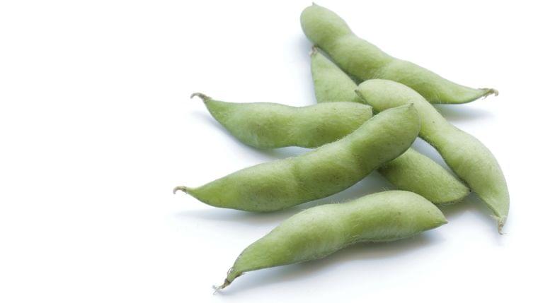 枝豆 の栄養素や歴史 管理栄養士監修 7月の旬の野菜の栄養学 コラム Eatreat 枝豆 の栄養素や歴史 管理栄養士監修 7月の旬の野菜の栄養学 コラム Eatreat