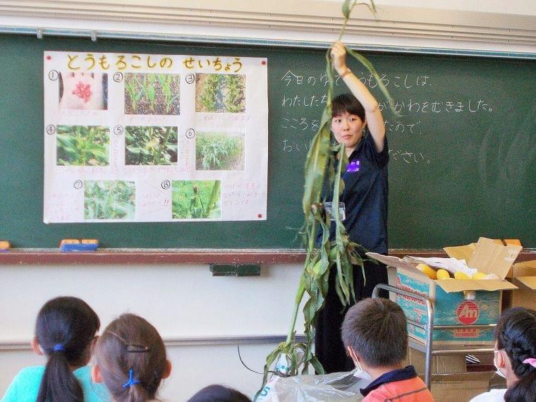 小学校で給食全般の業務に携わりながら活躍中の管理栄養士 池水梨香さん