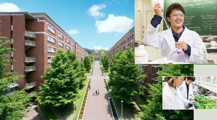 File 04. 静岡県立大学 食品栄養科学部 栄養生命科学科 | 管理栄養士・栄養士の学校