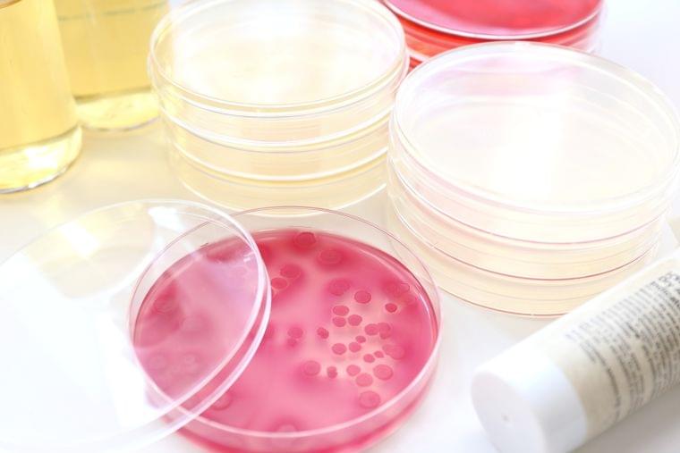 食の安全と微生物②