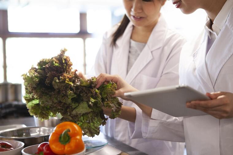 ✨土日祝休み✨懐石料理専門店で新規事業の担当者募集!〜商品開発にも携われるチャンス〜【管理栄養士または栄養士のお仕事】