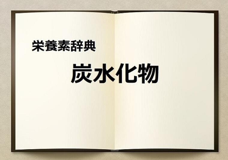 栄養素辞典①「炭水化物とは?」