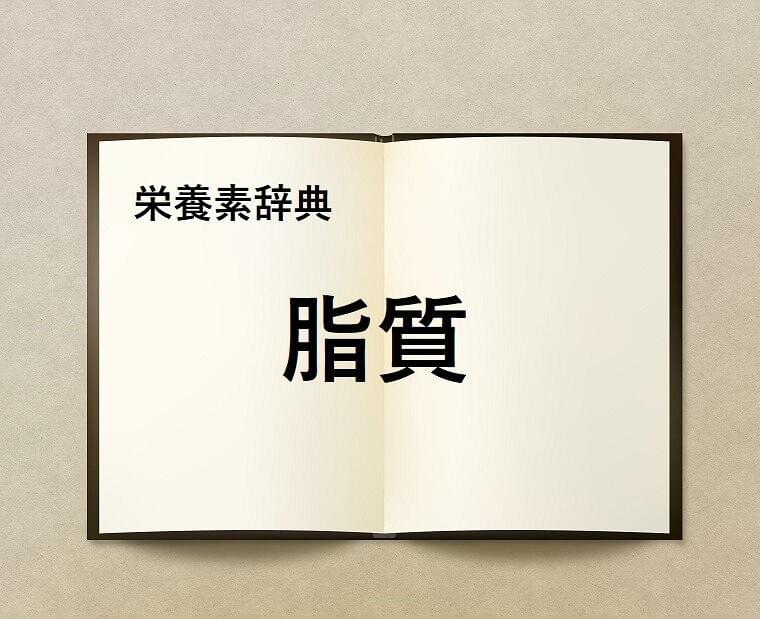 栄養素辞典③「脂質とは?」