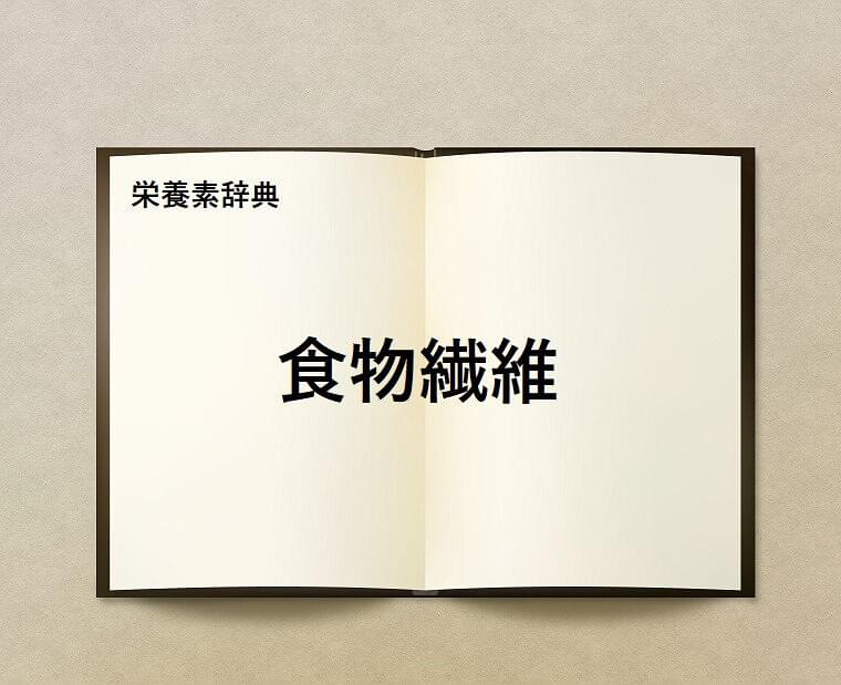 栄養素辞典④「食物繊維とは?」