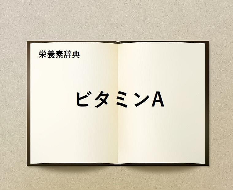 栄養素辞典⑤「ビタミンAとは?」
