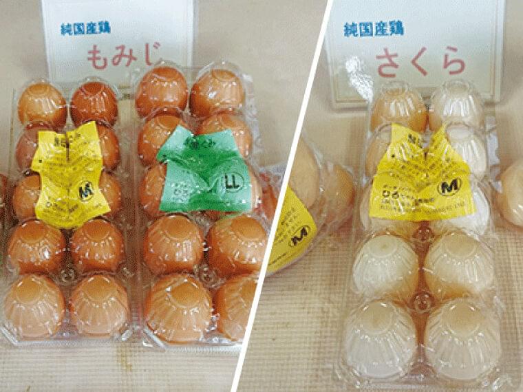 台湾カステラ