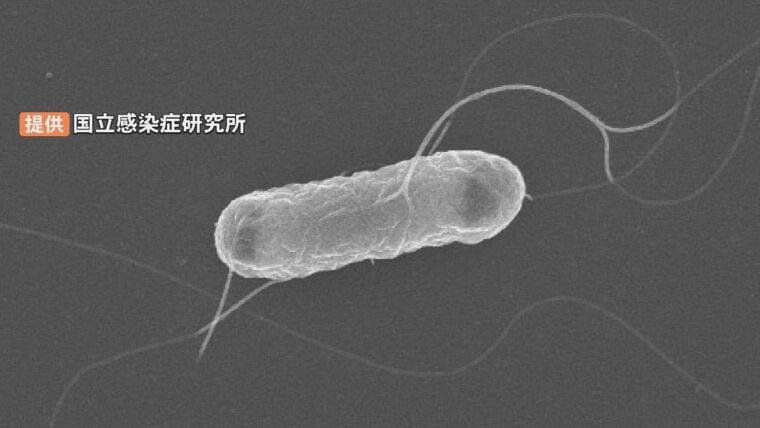 O157集団感染…出雲市の児童福祉施設で30人感染 うち29人が幼児 まだ50人以上が検査中 島根県(BSS山陰放送) - Yahoo!ニュース