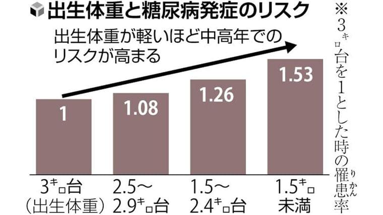 低体重で生まれた人、心血管疾患・高血圧・糖尿病のリスク高く…専門家「妊娠前から適切な食生活を」 : 読売新聞