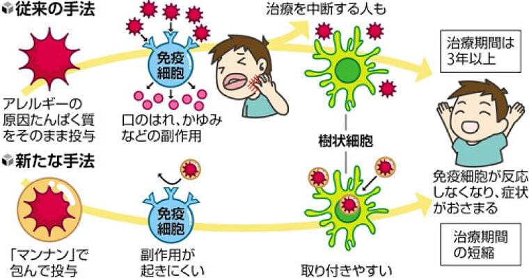 花粉症治療の副作用を大幅に軽減…原因たんぱく質を「膜」で包み服用、治療短縮も期待 | ヨミドクター(読売新聞)