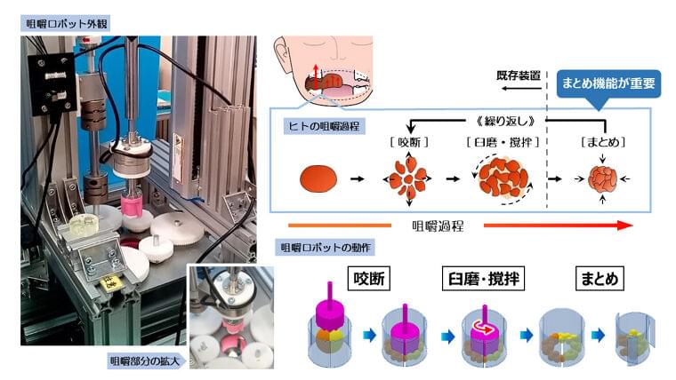 J-オイルミルズ、世界初という咀嚼ロボットを大阪大と開発、複雑な食感の評価が可能に | 食品産業新聞社ニュースWEB
