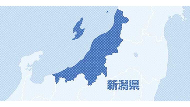 卵アレルギーの園児に鶏卵使った洋菓子、成分表の確認怠り事故…腹痛訴え抗アレルギー薬飲ませる : 読売新聞