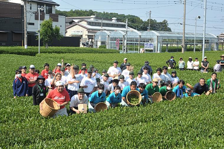 「午後の紅茶」の知見を活かし工業高校生がつくる狭山の和紅茶“狭紅茶”を支援、地域密着活動で持続可能な社会に貢献/キリンビバレッジ | 食品産業新聞社ニュースWEB
