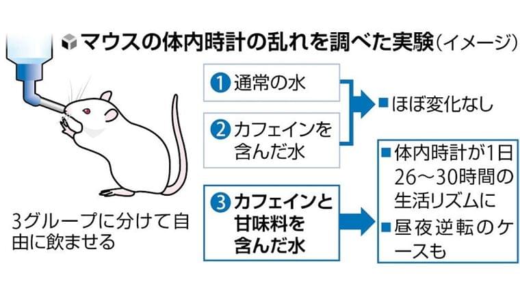 「甘いカフェイン」摂取、体内時計乱れる恐れ…コーヒー飲料など「いつ飲むのがいいか検討必要」 : 読売新聞