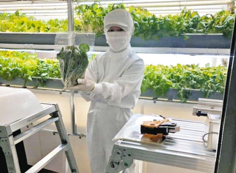 コーシャフード広がれ ユダヤ教の戒律食、日本食での認定を:東京新聞 TOKYO Web