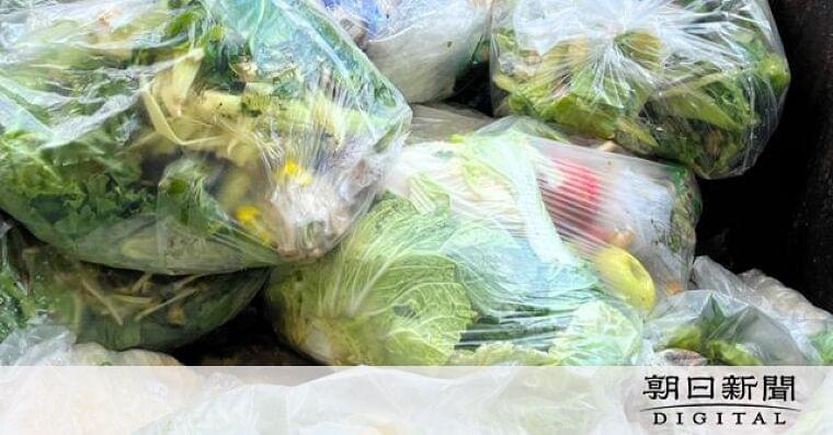家庭の食品ロス、高齢世帯で多く 「食育だけでなく、調理の工夫も」:朝日新聞デジタル
