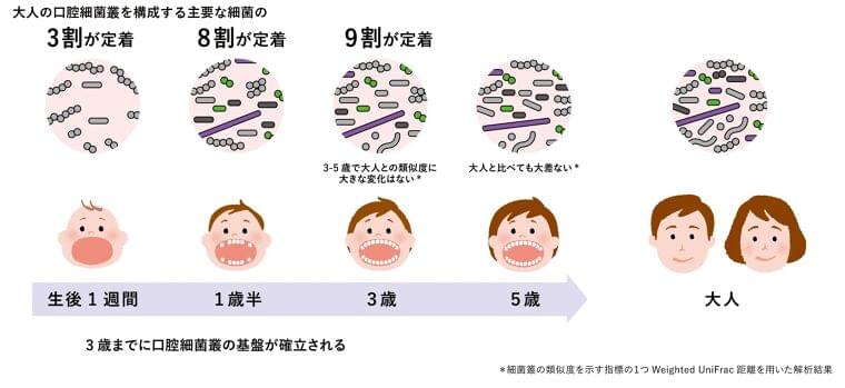 3歳までに口腔細菌叢(※1)の基盤が確立される 乳幼児期の縦断研究(※2)から口腔細菌叢の形成が進む時期を解明 | ライオン株式会社のプレスリリース