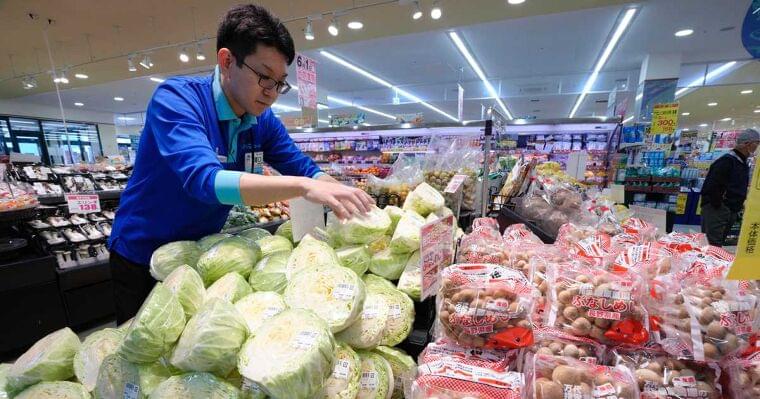 キャベツの平均小売価格、平年の3・3倍に 天候不順で品質不良、供給量が減少 - イザ!