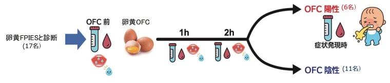 卵黄による食物蛋白誘発胃腸炎(FPIES)の新たな発症メカニズム~高深度プロテオーム解析で免疫システムの過剰反応が明らかに~ | 国立大学法人千葉大学のプレスリリース