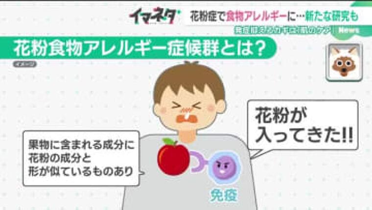 ある日突然、花粉症が原因で“食物アレルギー”に…発症抑えるカギは? 医師に聞いた (2025年4月14日) - エキサイトニュース