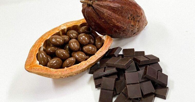 暮らしの中の科学：高カカオチョコで便秘改善？　腸内の善玉菌を増やす | 毎日新聞
