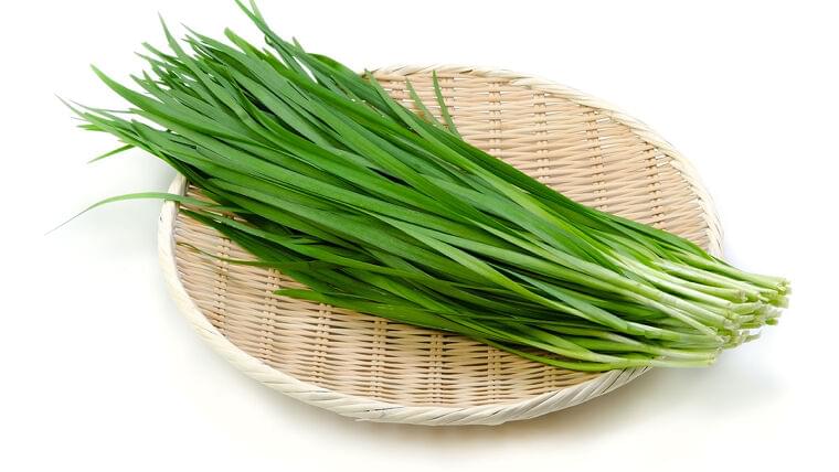 スタミナ野菜のニラ　実は春が旬　葉が軟らかくて香りよく　甘みも感じて | ヨミドクター(読売新聞)