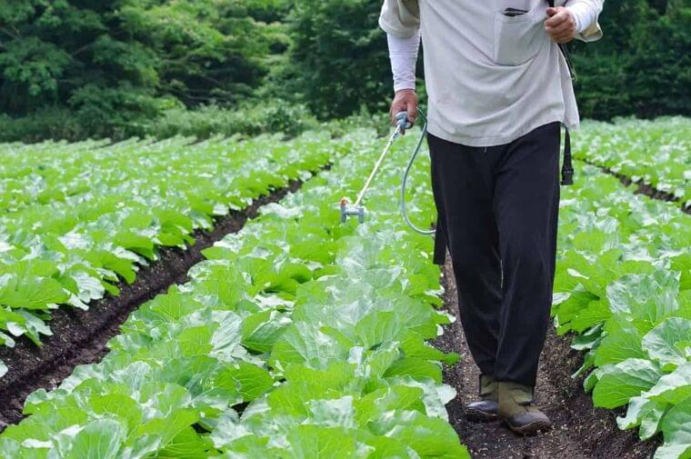 有機野菜は本当に安全？農薬の基準と栄養を管理栄養士が解説 -