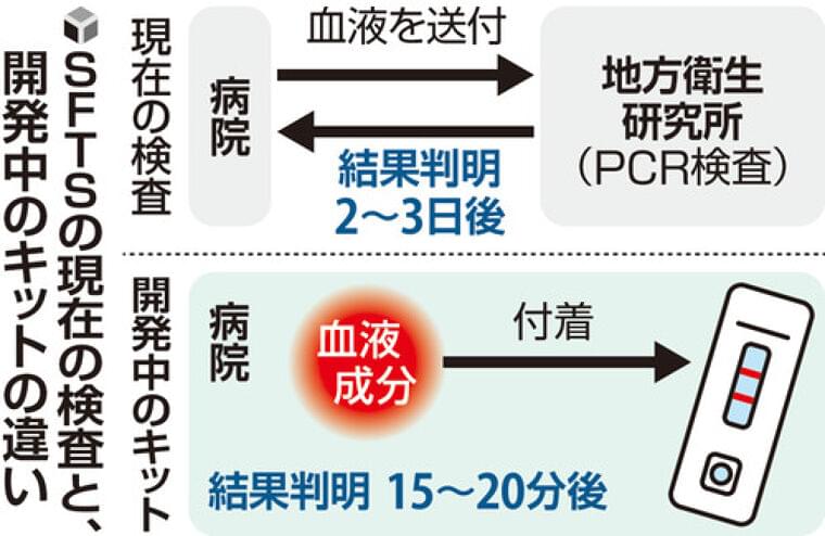 ２日前後かかるマダニ感染症の検査、１５～２０分に短縮できるキット開発へ…２０２７年度完成目指す | ヨミドクター(読売新聞)