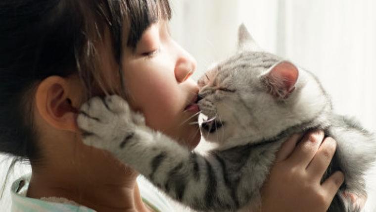 動物からヒトに感染する「動物由来感染症」 過度な接触に注意を | Mocosuku(もこすく)