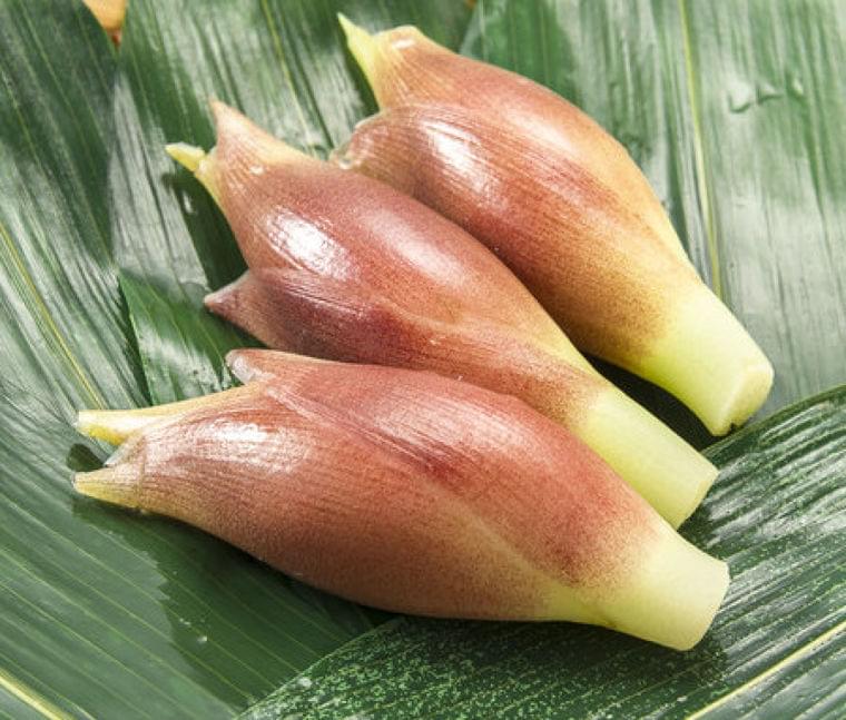 旬の野菜「みょうが」の栄養成分や期待できる美容・健康効果について | ニコニコニュース