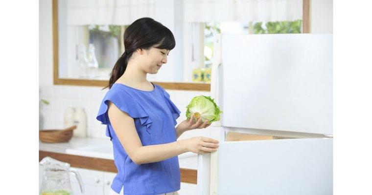 梅雨の冷蔵庫は小まめに除菌　野菜室は水拭きNG｜WOMAN SMART｜NIKKEI STYLE