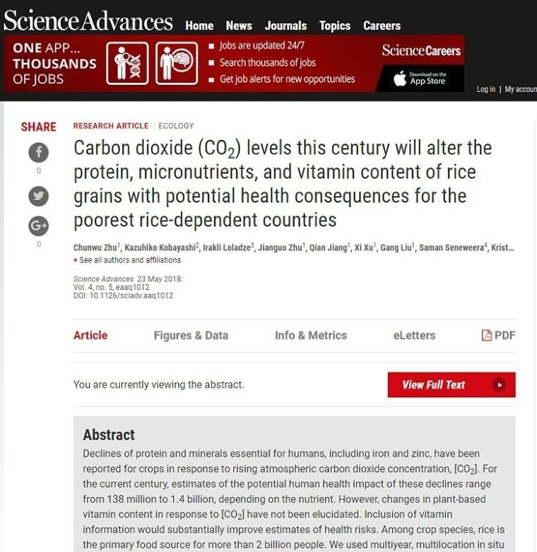 ＜地球温暖化＞ＣＯ２増加でコメの栄養減　６億人に影響も｜BIGLOBEニュース