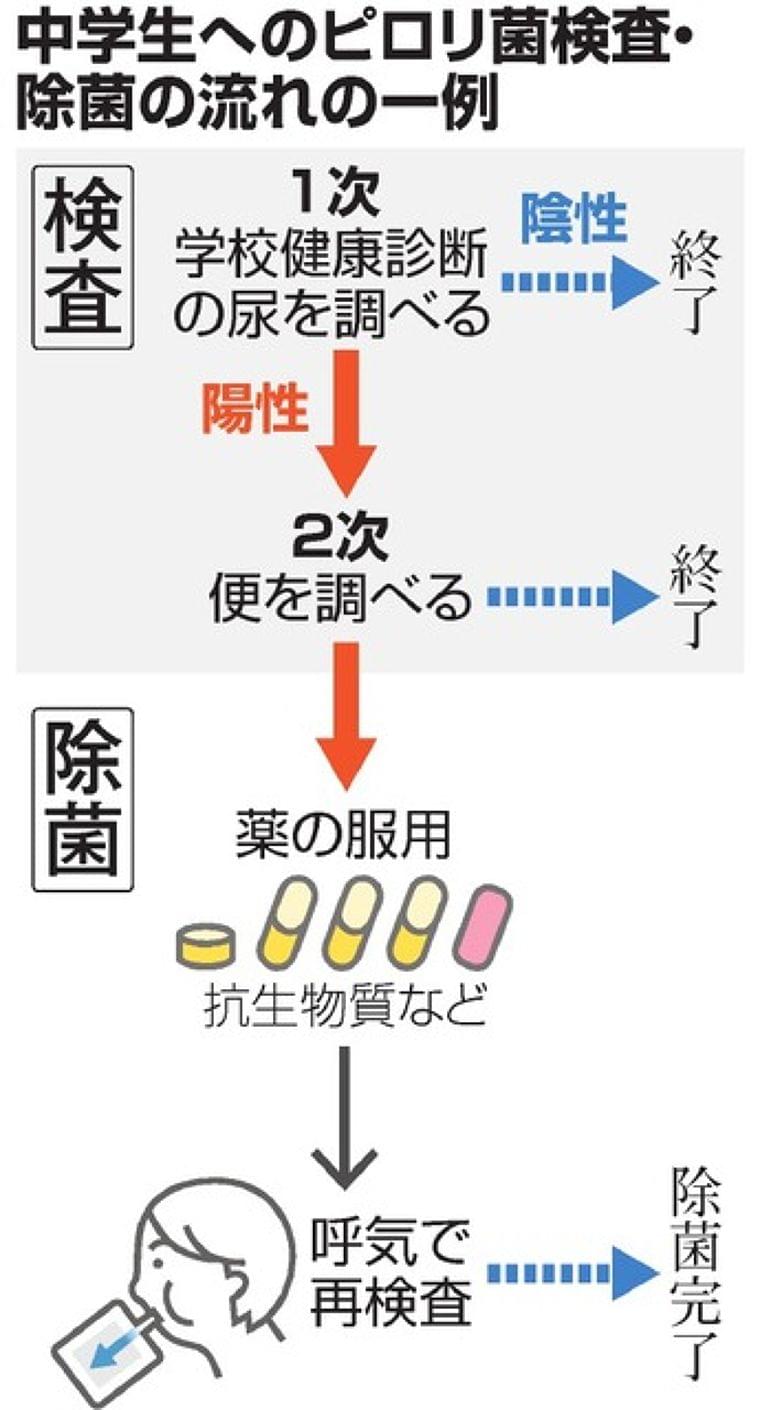 子どものピロリ菌対策は必要? 検査や除菌、学会で賛否:朝日新聞デジタル