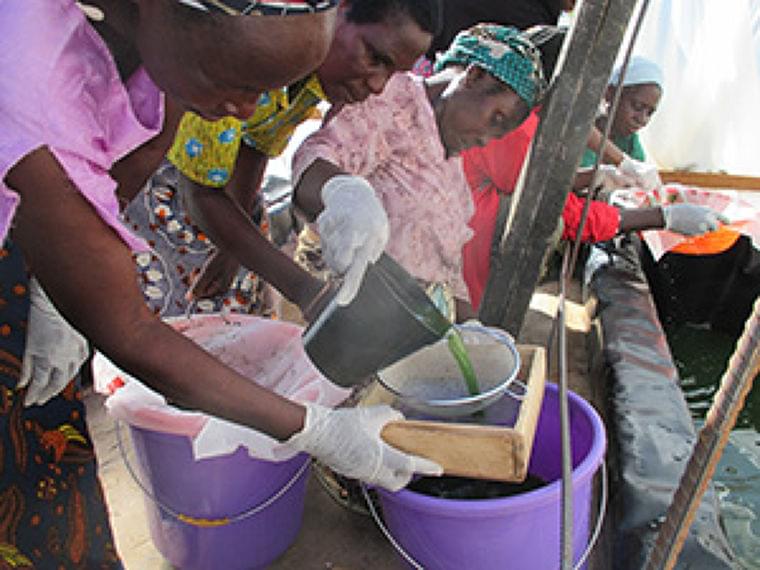 アフリカの慢性栄養不良、「スピルリナ」で改善 アライアンス・フォーラム財団 |日本食糧新聞・電子版