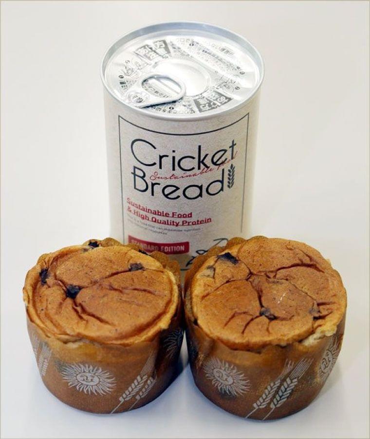 徳島大学発ベンチャーがコオロギパン発売 栄養価に優れた「昆虫食」　災害備蓄用に｜経済,健康・医療,徳島の話題｜徳島ニュース｜徳島新聞