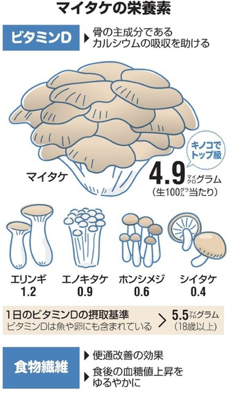 冬こそマイタケ 「まい足し」で不足しがちな栄養補って:朝日新聞デジタル