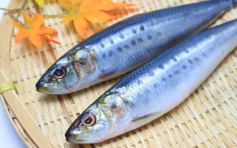 サバ缶ブームの次にくるのはイワシ缶！ 「イワシ水煮缶」簡単レシピ｜テレ東プラス