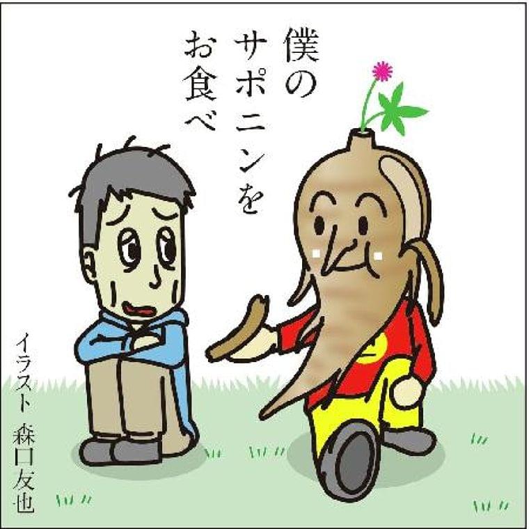 【痛み学入門講座】多彩な薬理効果「紅参」 - SankeiBiz（サンケイビズ）