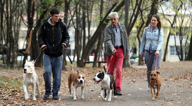 犬を飼うと健康に＝週４時間弱の散歩で－英研究：時事ドットコム