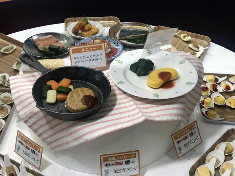 高齢者向け介護食に彩り　食品各社、在宅用普及に動く　　:日本経済新聞