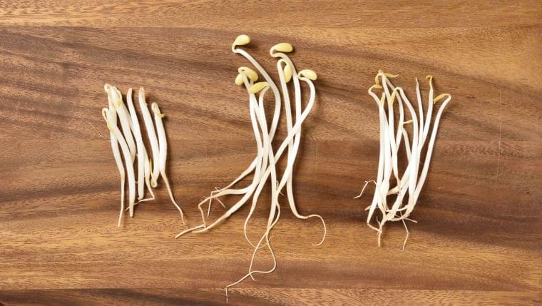 種類によってこんなに違う!?もやしの栄養とおすすめの食べ方 ｜ ガジェット通信 GetNews