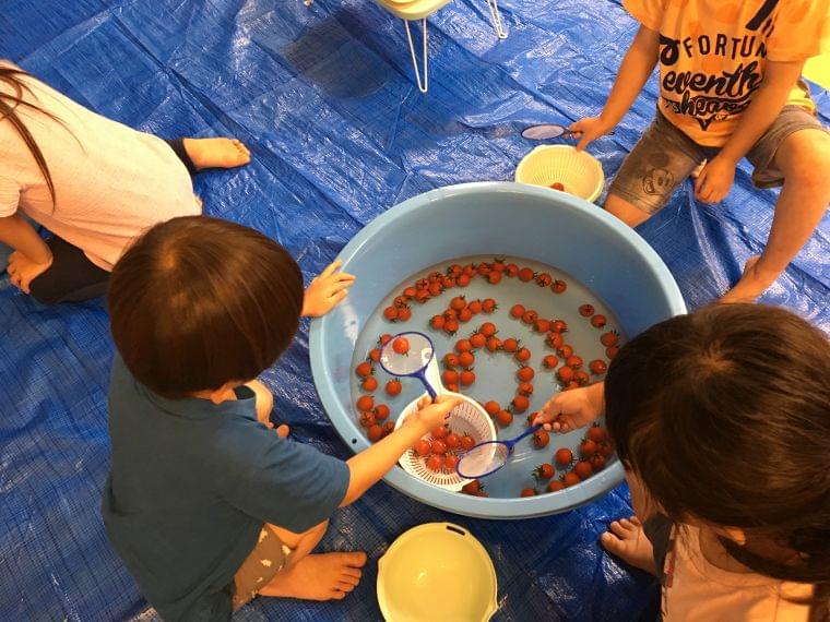 「やさいと仲良し大作戦」と題し、ミニトマトの食育イベントを明日葉保育園にて開催しました|ソシオークホールディングス株式会社のプレスリリース